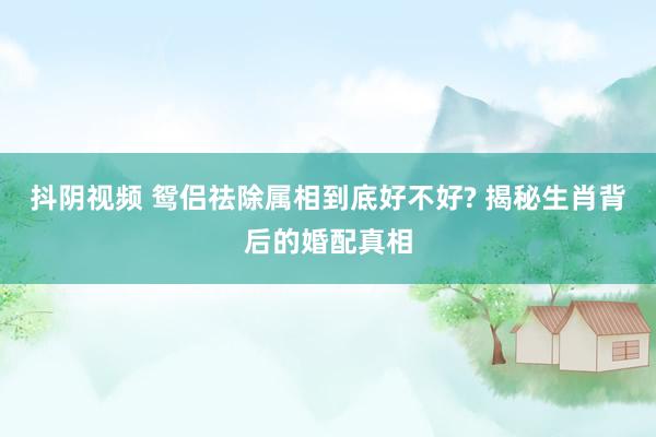 抖阴视频 鸳侣祛除属相到底好不好? 揭秘生肖背后的婚配真相