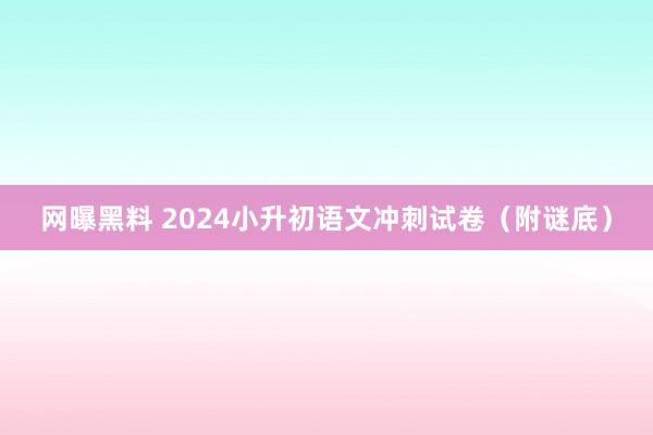 网曝黑料 2024小升初语文冲刺试卷（附谜底）